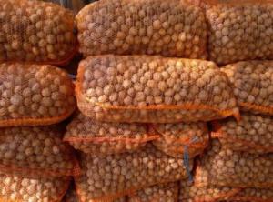 продам грецкий орех тонкошкуры вналичие 3 тонны доставка по всей Украи