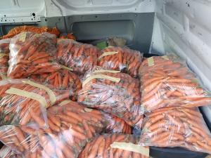 морква сатурно під замовлення.