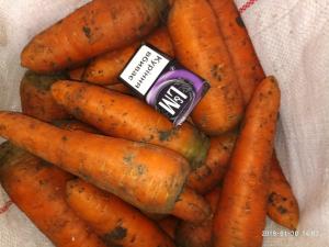 Продам Морковь сорта Боливар