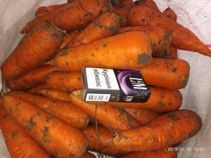 Продам Морковь сорта Боливар