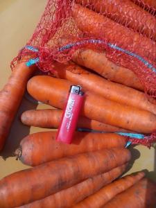 Продам морковь сорта Абака, отменное качество, большие объемы. Экспорт