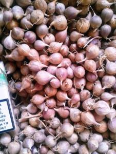 Продажа чеснока на посадку Семена чеснока