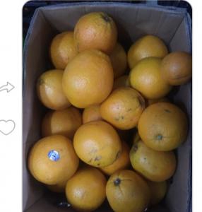Продамо апельсин на фреши 15 грн