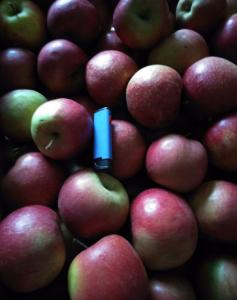 Продам яблука(сорти: флоріна, айдаред, семеренко, джонаголд, джонаред