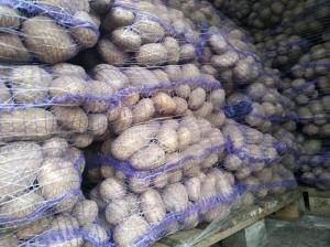 Продам Картоплю елітних Голандських і Німецьких сортів