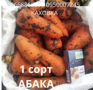 Морковь - Абака