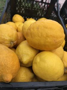 Лимон/Citrus