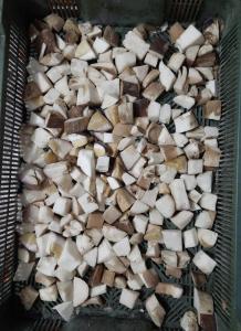 Продам  морожений кубик білого гриба