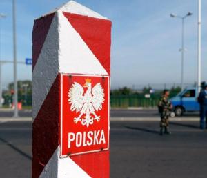 Цибуля оптом Украина Польша