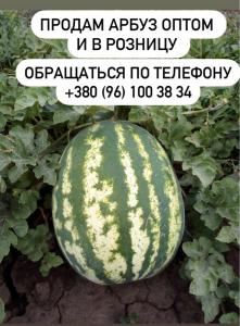 Продам арбуз оптом