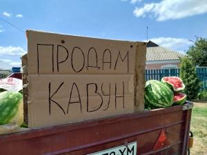 Продам дуже солодкий кавун, Продюсер та Кремсонсвіт (2,5 - 8 кг)