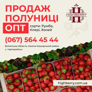 Продаж полуниці ОПТ. Сорти: Румба, Клери, Хоней, Волинська обл.