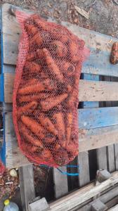 Продам товарну моркву гуртом